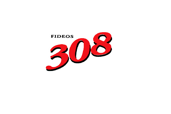 fideos 308