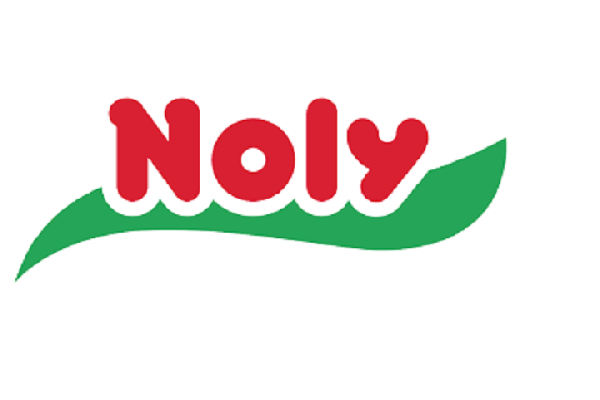 noly logo